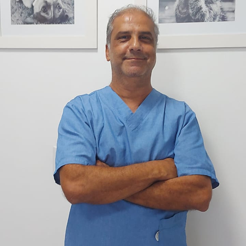 Luiz Afonso Erthal